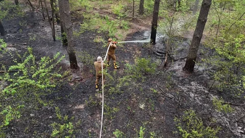 Рятувальник спускається на мотузці в лісі під час гасіння пожежі