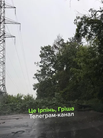 Затоплена вулиця з електроопорою та деревами