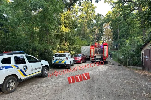 Поліцейські автомобілі та пожежна машина на території