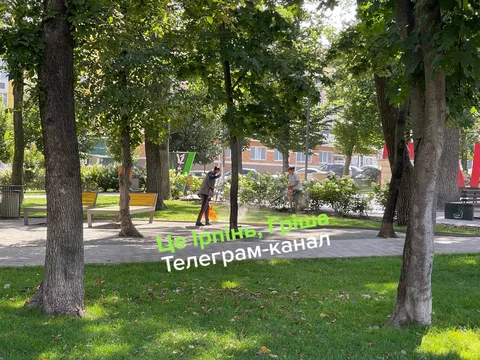 Парк з великими деревами та газоном біля будівель