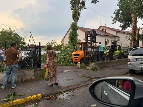 Люди біля пошкодженого дерева на вулиці Львова