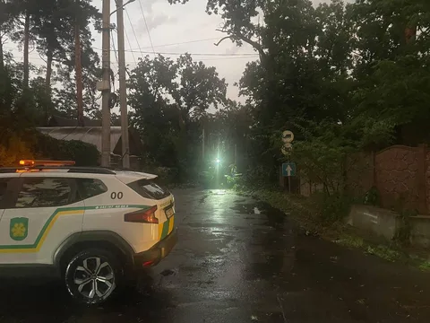 Поліцейський автомобіль на мокрій вулиці вночі після негоди