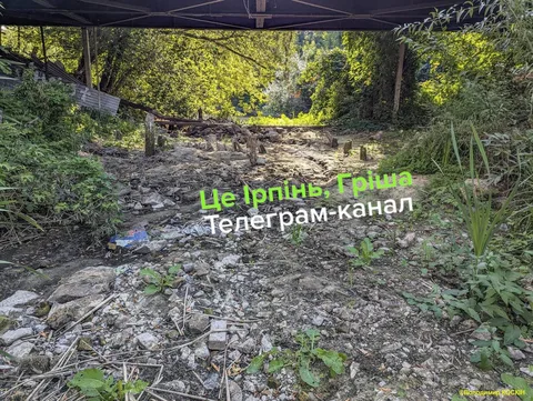 Пересохла річкова русло з камінням та рослинністю