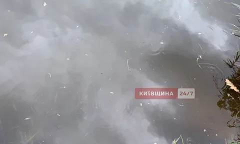 Забруднена вода озера з мертвою рибою на поверхні