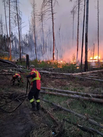 Пожежники гасять лісну пожежу серед обгорілих дерев