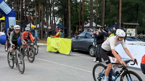 Велосипедисти на дорозі під час веломарафону в лісистій місцевості