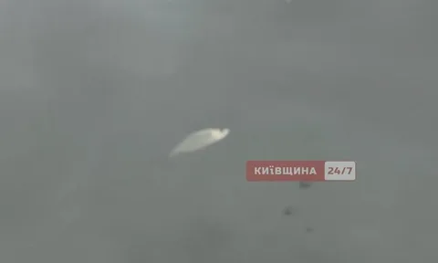 Забруднена вода річки Любка в Коцюбинському озері