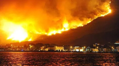 Лісна пожежа на горі над прибережним містом вночі