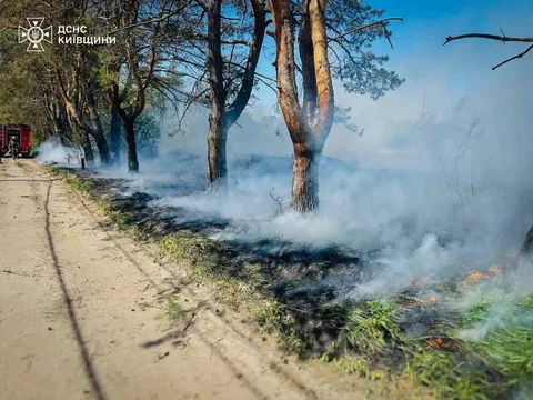 Пожежа в траві біля дерев з димом