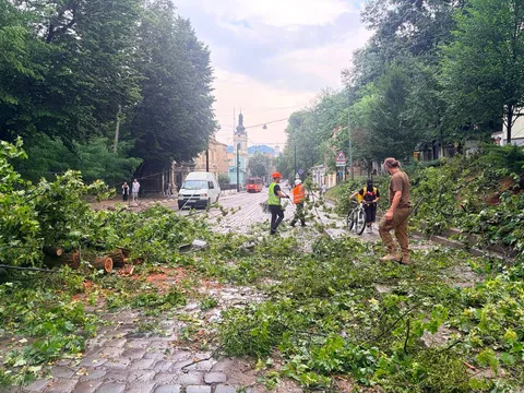 Вулиця зі повареними деревами та людьми серед руйнувань