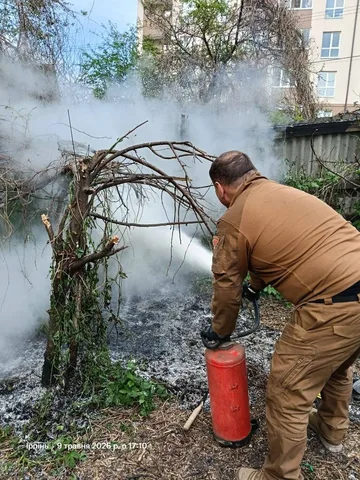 Рятувальник гасить лісову пожежу біля житлового будинку