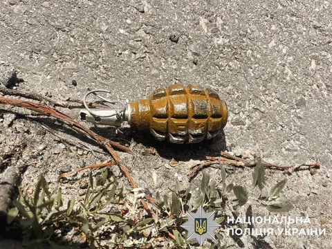 Знайдена граната на землі біля рослинності
