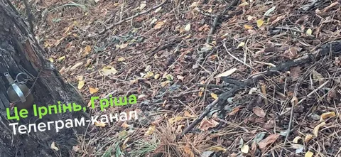 Розтяжка з гранатою в лісовій підстилці