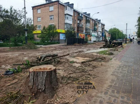 Спилені дерева на вулиці під час реконструкції