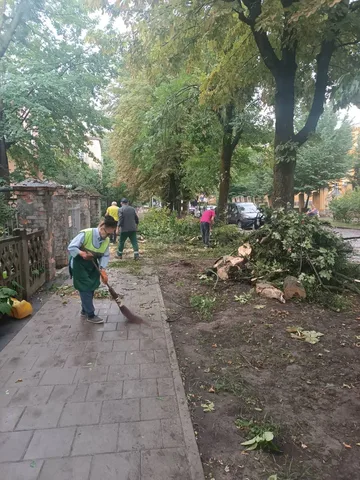 Робітники прибирають повалене дерево на вулиці міста