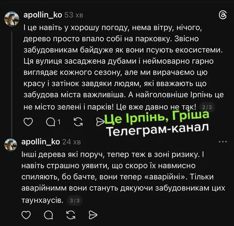 Скриншот повідомлення в Telegram про пошкоджені дерева в Ірпені