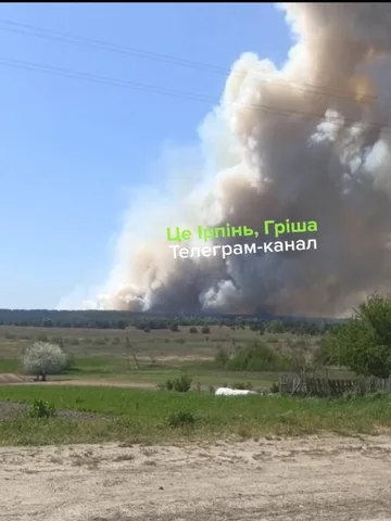 Дим від пожежі над полем біля Гаврилівки