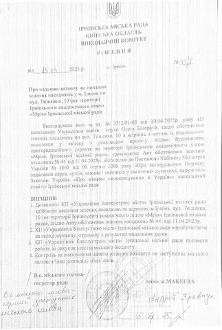 Офіційний документ з печаткою та підписами про рішення ради
