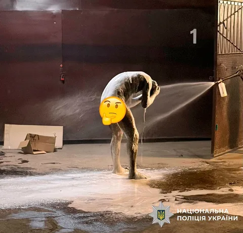 Собака під струменем води в приміщенні