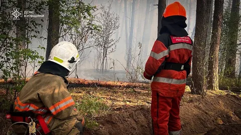 Пожежники в захисному спорядженні гасять лісову пожежу